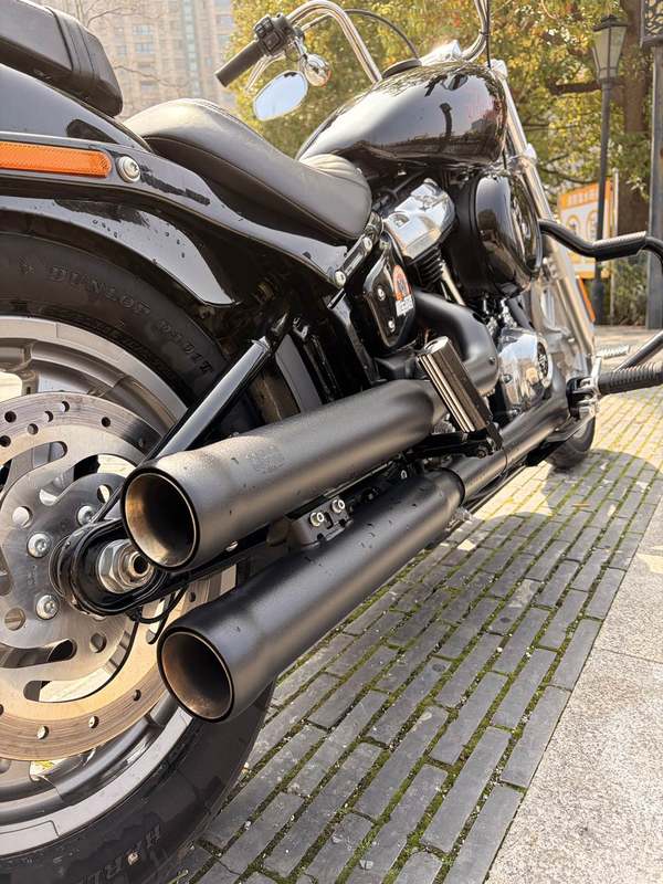二手哈雷戴维森Softail Standard