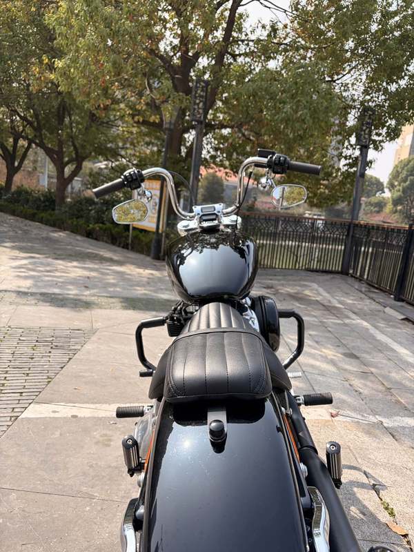二手哈雷戴维森Softail Standard