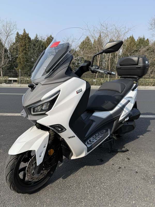 二手三阳Joymax Z 300