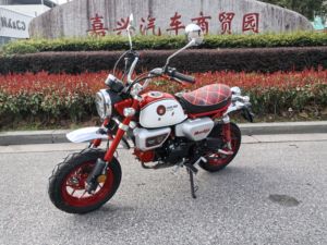 二手斯托纳猿猴