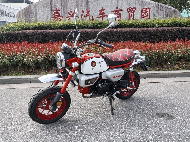 二手斯托纳猿猴