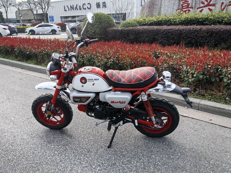 二手斯托纳猿猴