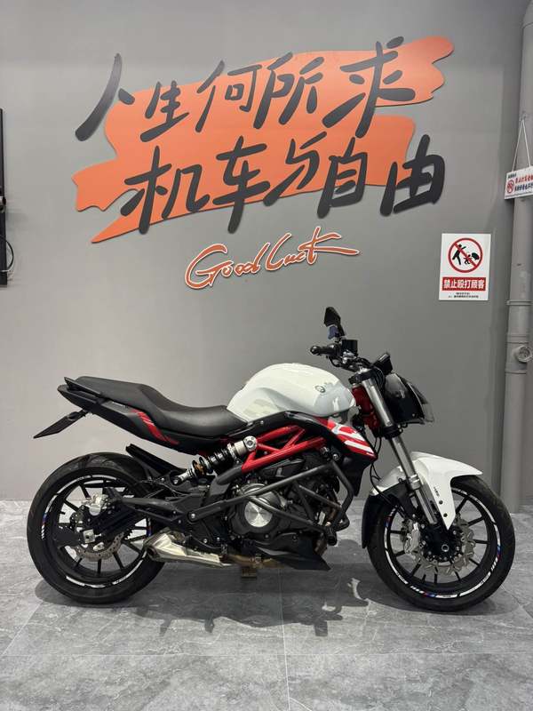 二手贝纳利蓝宝龙 BN302S