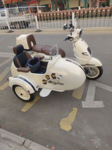 二手南方梦拉丽莎 飞戈边三轮