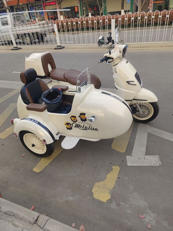 二手南方梦拉丽莎 飞戈边三轮