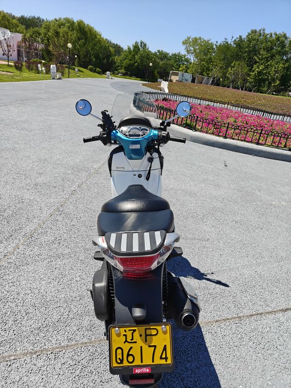 二手金城提拉米苏 150