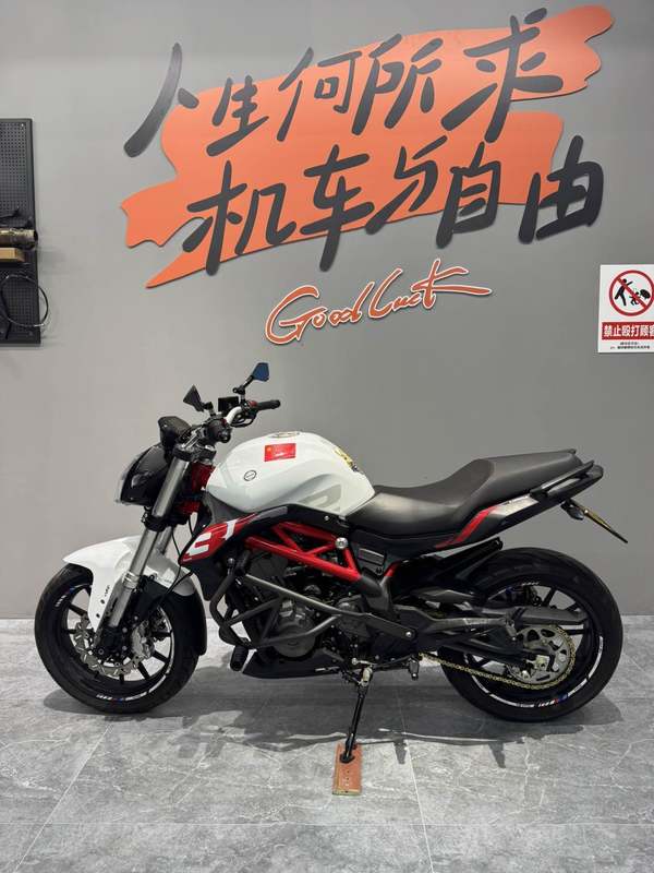 二手贝纳利蓝宝龙 BN302S