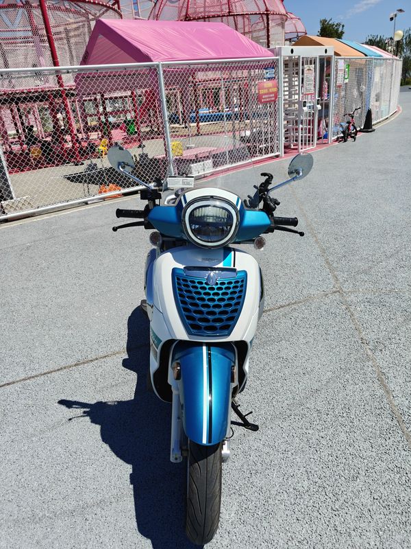 二手金城提拉米苏 150