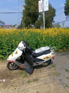 二手五羊本田SCR 喜蕴100