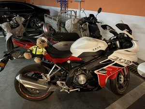 二手贝纳利龙卷风 Tornado 302R