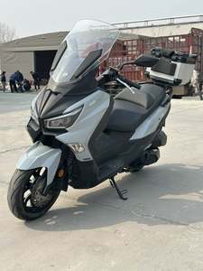 二手三阳Joymax Z 300