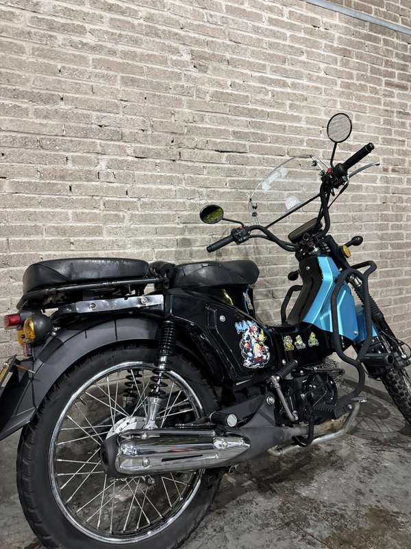 二手颢晨穿越猫