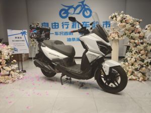 二手三阳行者 Joyride300