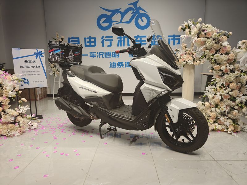 二手三阳行者 Joyride300