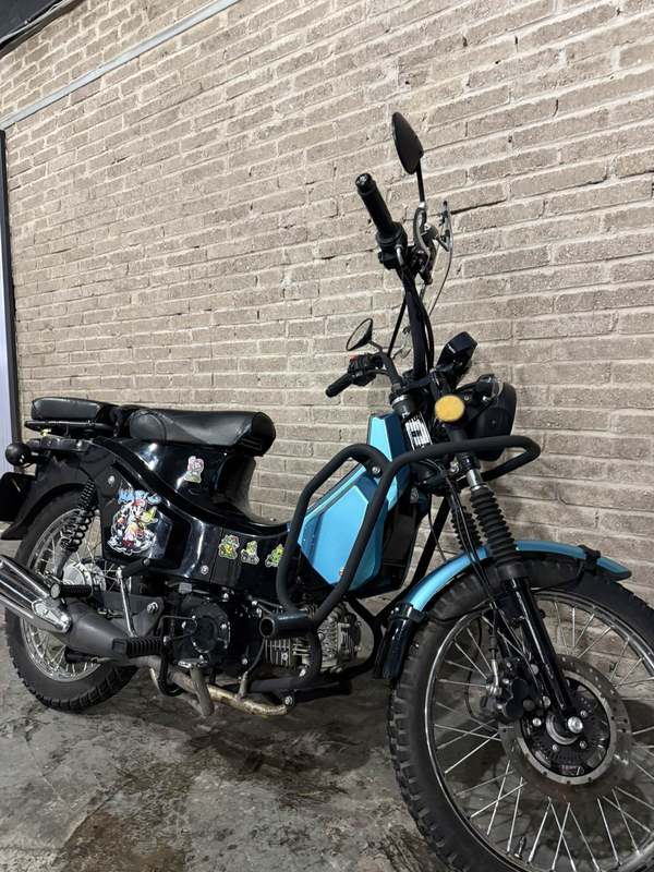 二手颢晨穿越猫