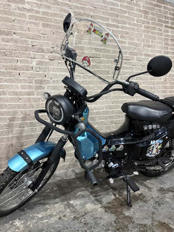 二手颢晨穿越猫