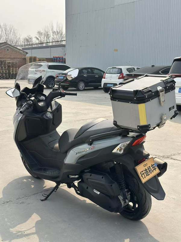 二手三阳Joymax Z 300