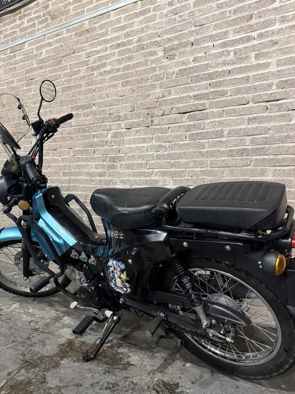 二手颢晨穿越猫