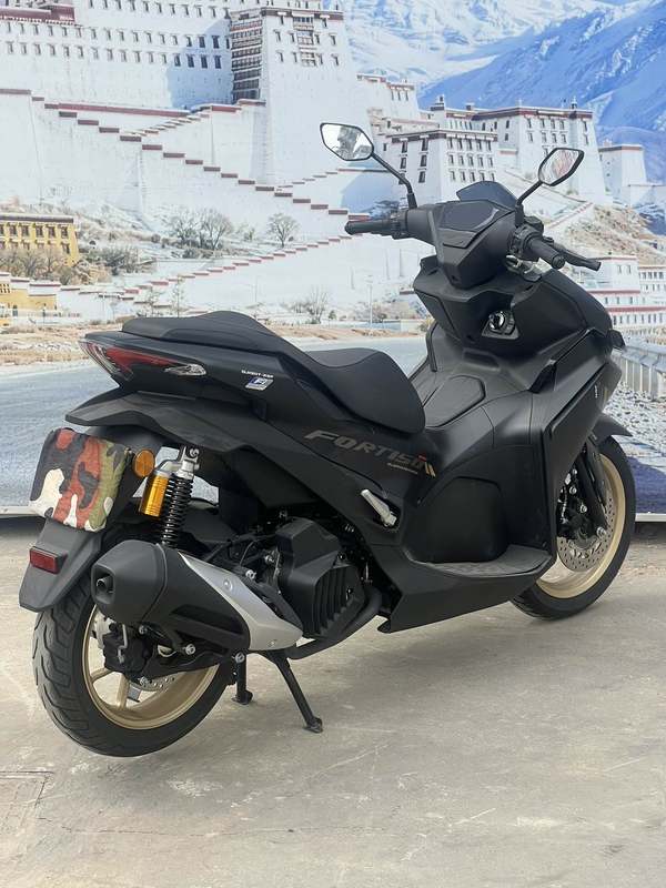 二手QJMOTOR鸿150S