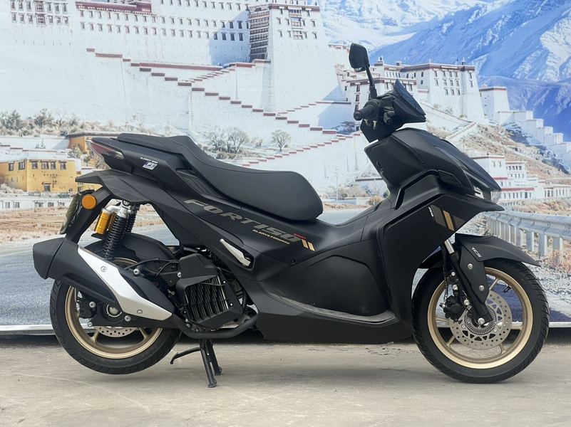 二手QJMOTOR鸿150S