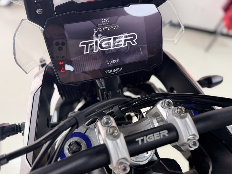 二手凯旋Tiger 900