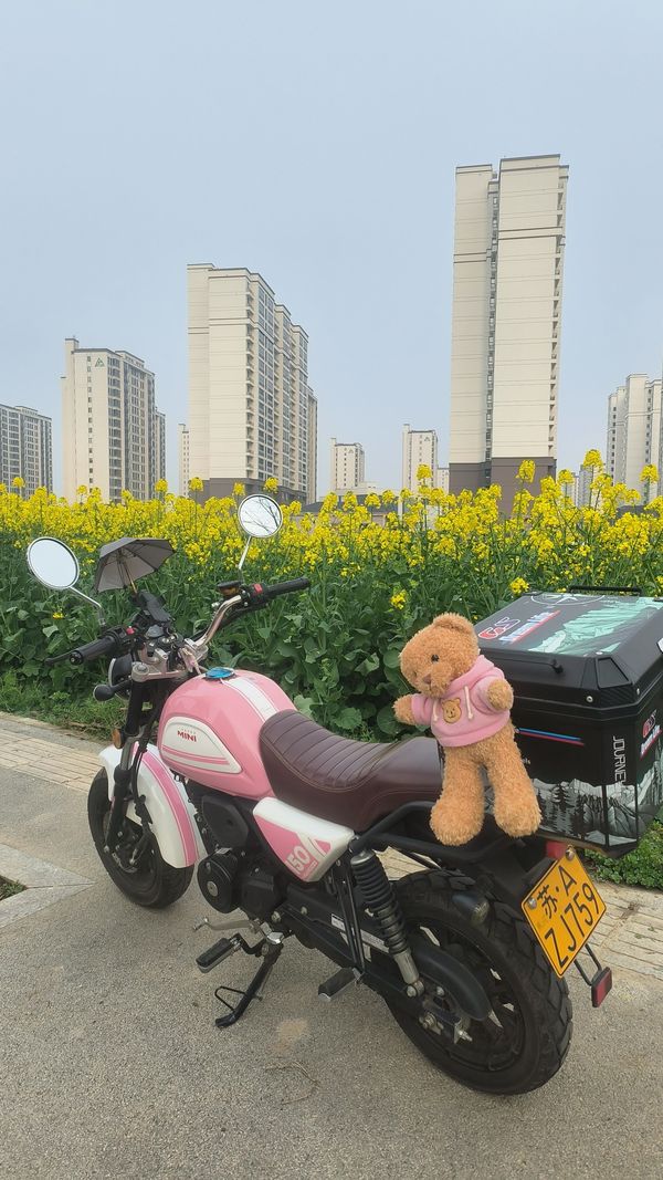 二手银钢Super Mini 150