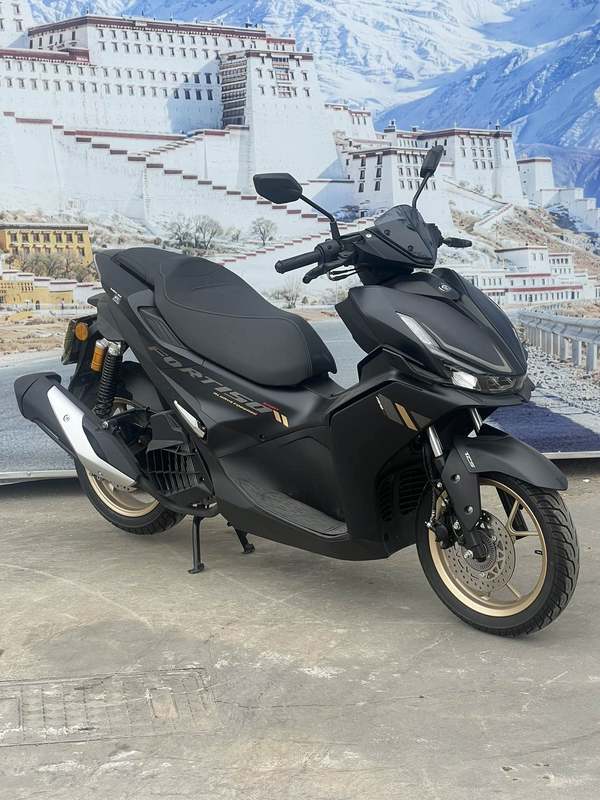 二手QJMOTOR鸿150S