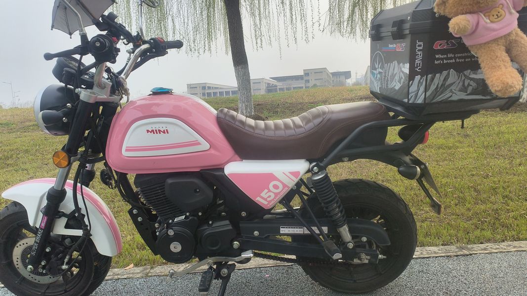 二手银钢Super Mini 150