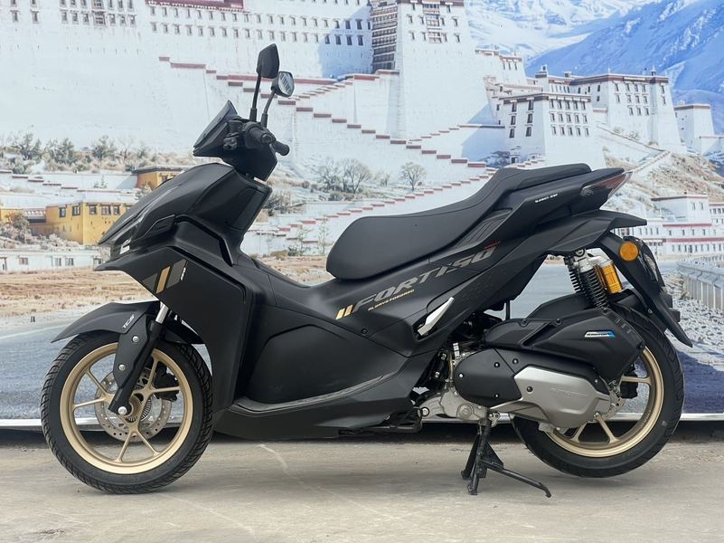 二手QJMOTOR鸿150S