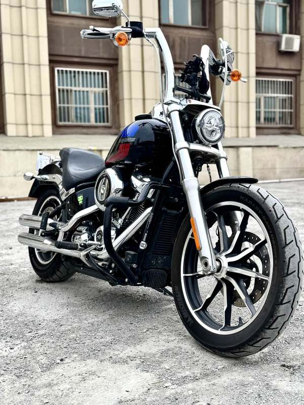 二手哈雷戴维森路威 Low Rider