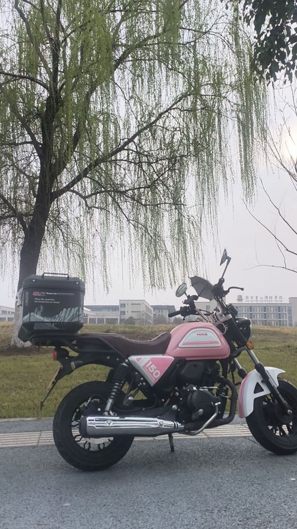二手银钢Super Mini 150