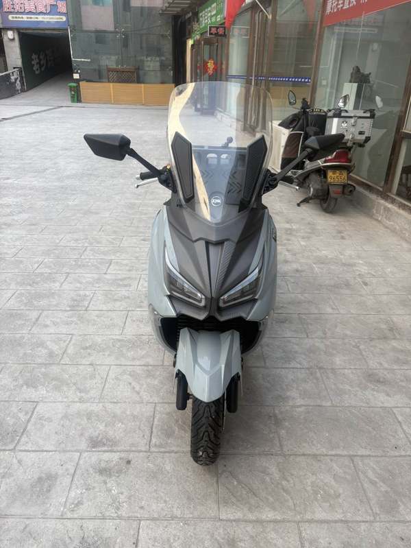 二手三阳Joymax Z 300