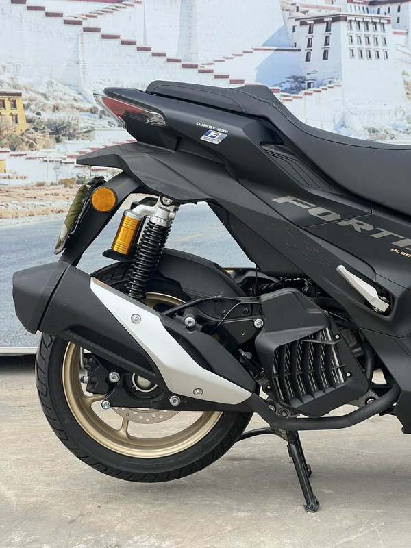 二手QJMOTOR鸿150S