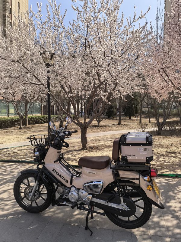 二手新大洲本田Cross Cub