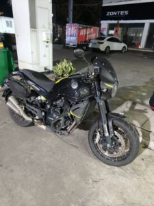 二手贝纳利幼狮 Leoncino 500