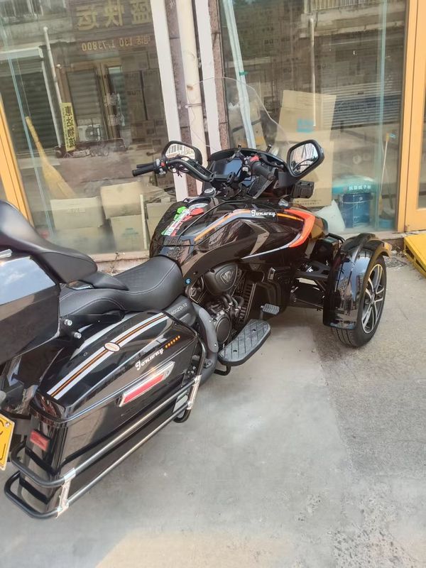 二手庄威威迪南