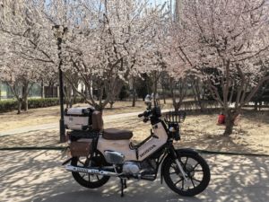 二手新大洲本田Cross Cub