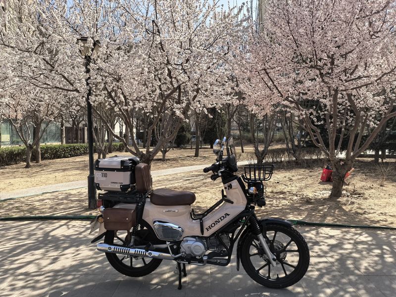 二手新大洲本田Cross Cub