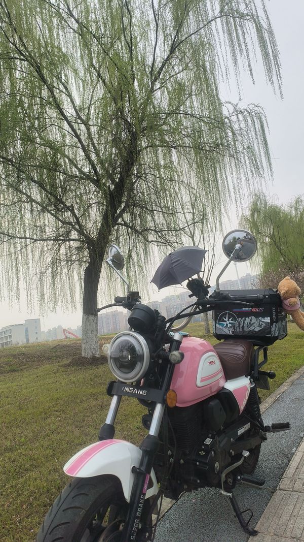 二手银钢Super Mini 150