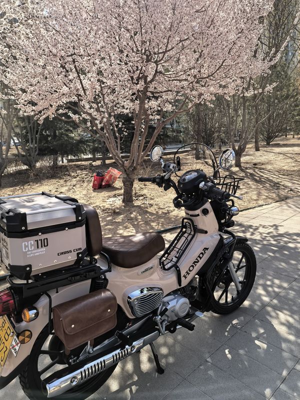 二手新大洲本田Cross Cub