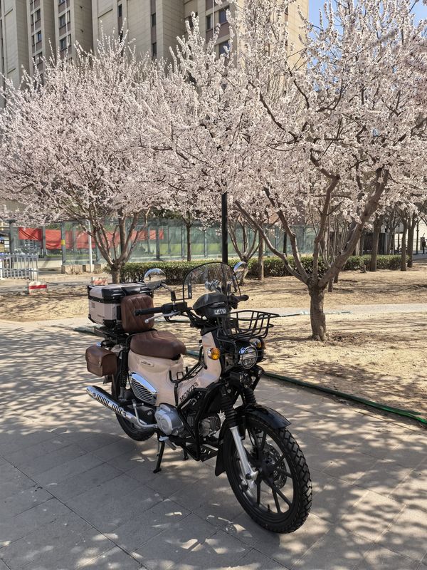 二手新大洲本田Cross Cub