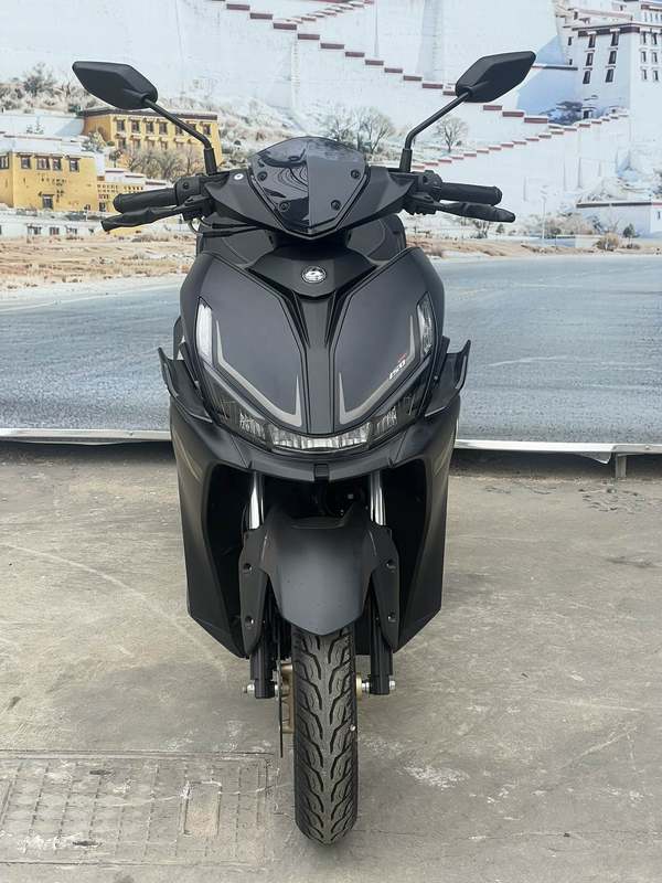 二手QJMOTOR鸿150S