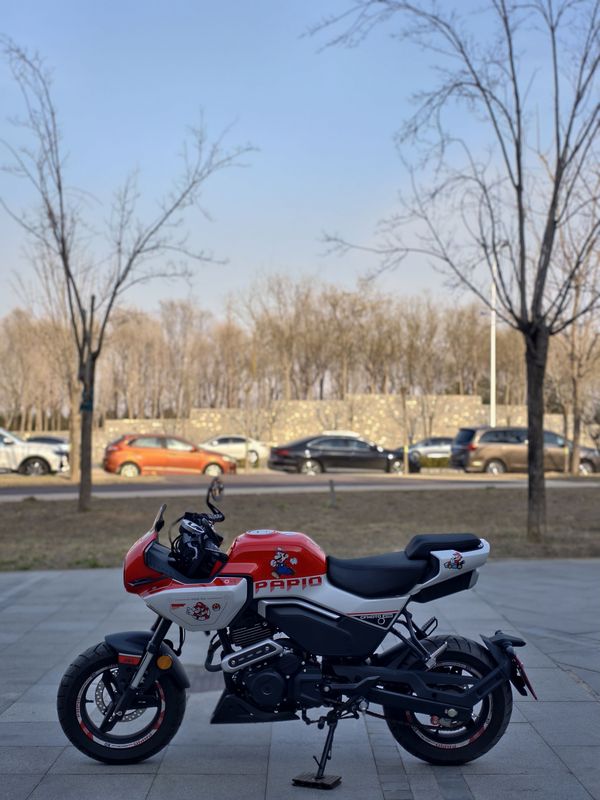 二手春风XO狒狒