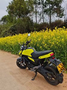 二手春风ST狒狒