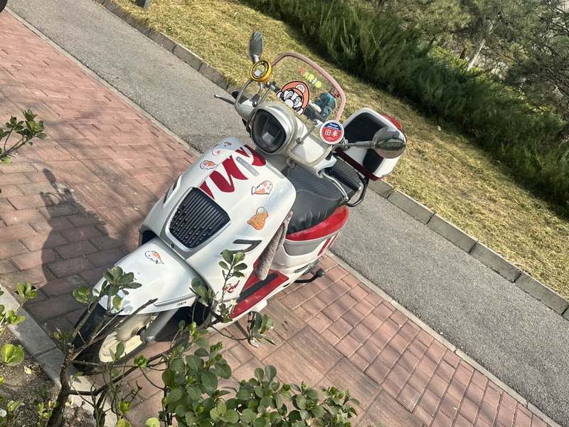 二手南方梦拉丽莎 飞戈