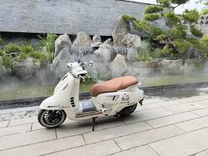 二手赛科龙RT250E