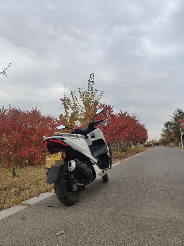 二手新大洲本田NS150GX