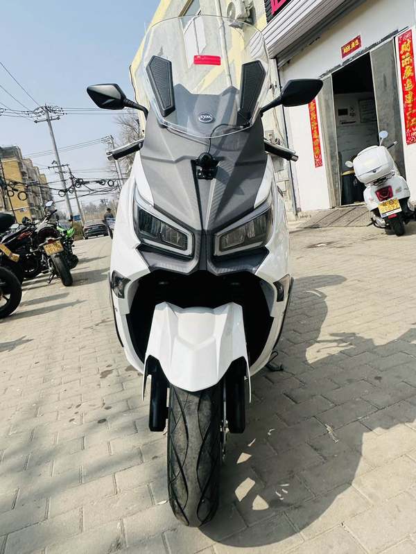 二手三阳Joymax Z 300