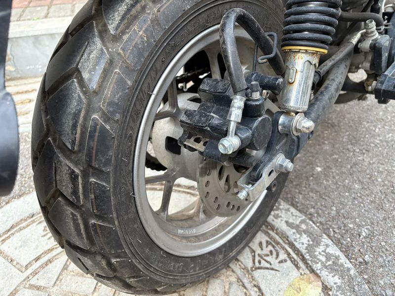 二手斯托纳猿猴