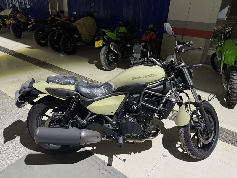 二手川崎Eliminator 500